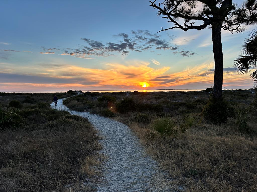 115 Pond Cypress Cv, Port St. Joe 32456
