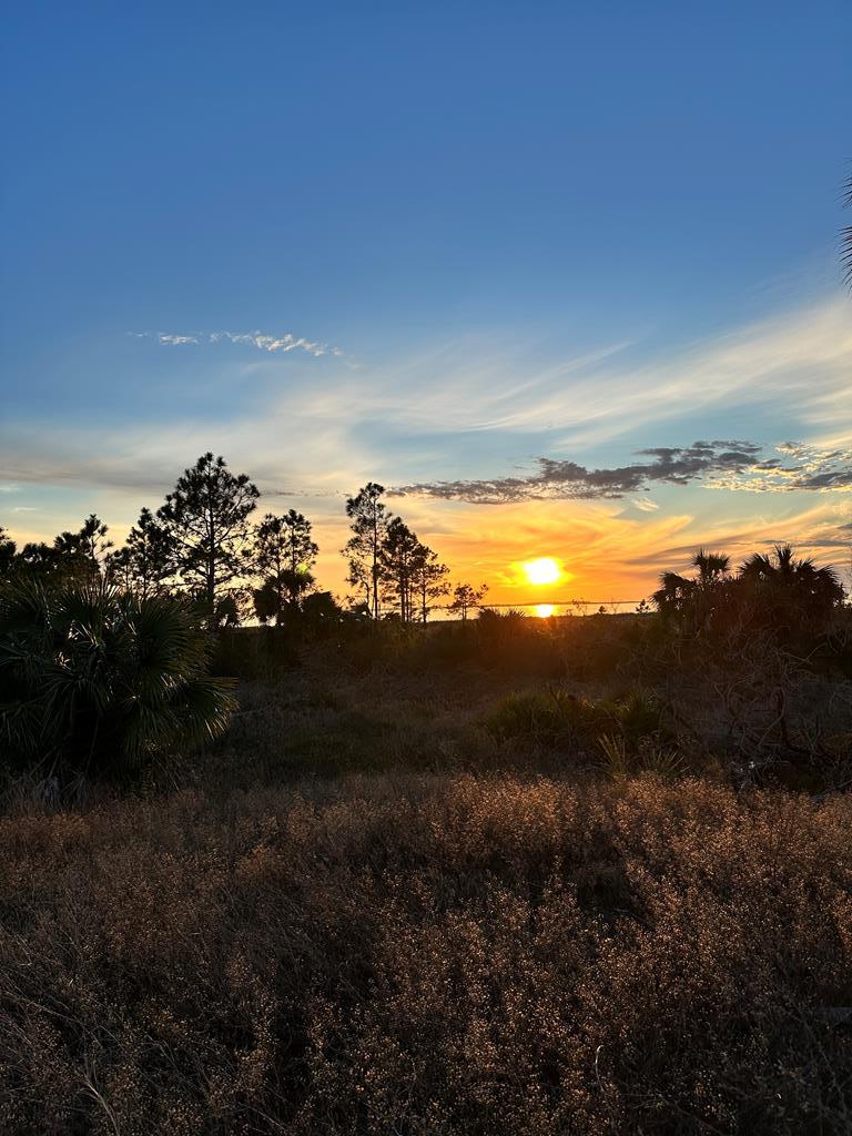 115 Pond Cypress Cv, Port St. Joe 32456