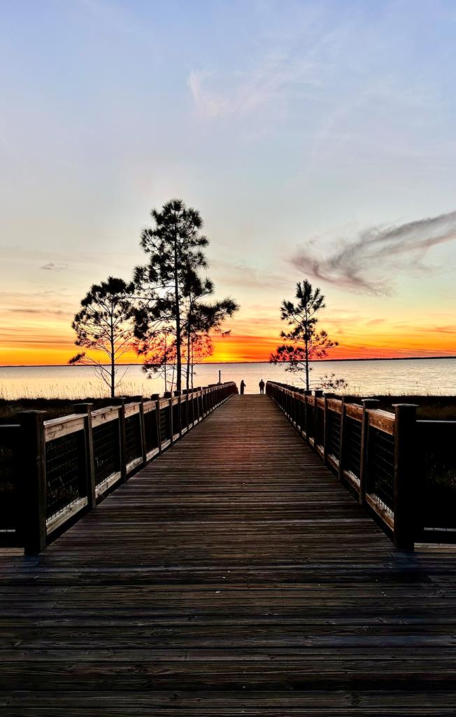 115 Pond Cypress Cv, Port St. Joe 32456