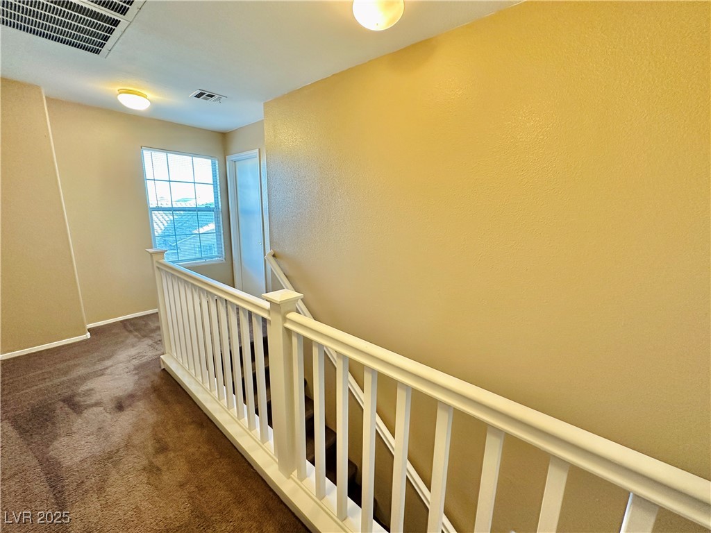 2637 Spider Cactus Court