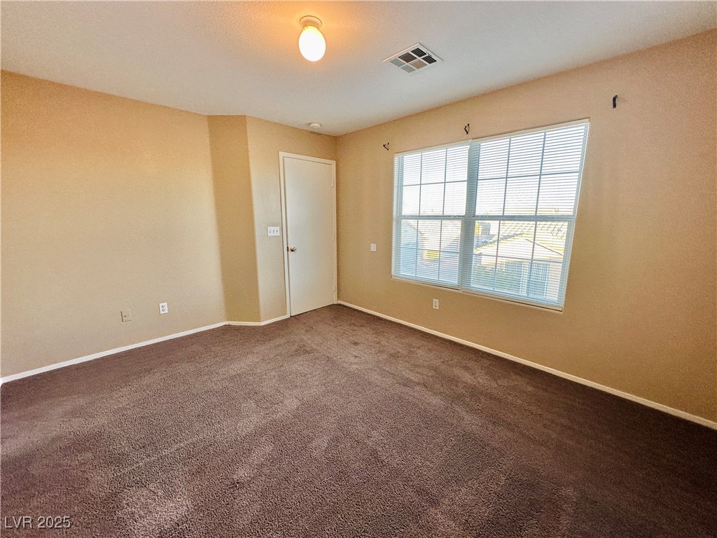 2637 Spider Cactus Court