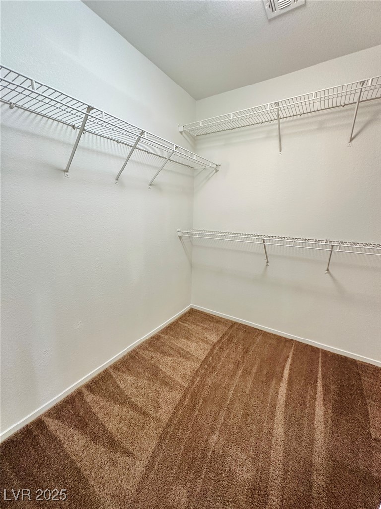2637 Spider Cactus Court