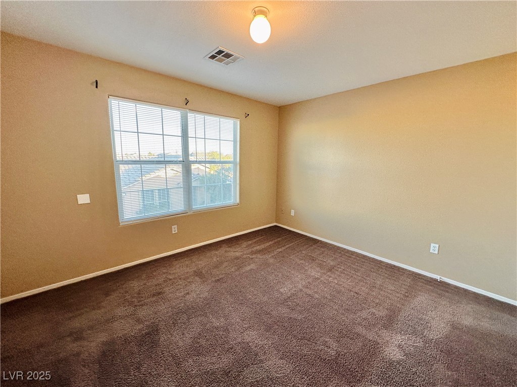 2637 Spider Cactus Court