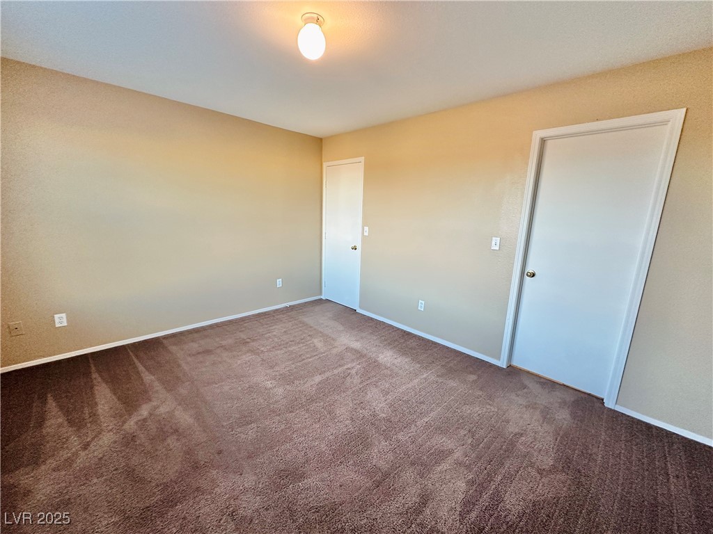 2637 Spider Cactus Court