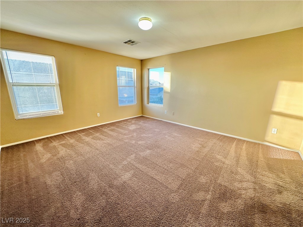 2637 Spider Cactus Court