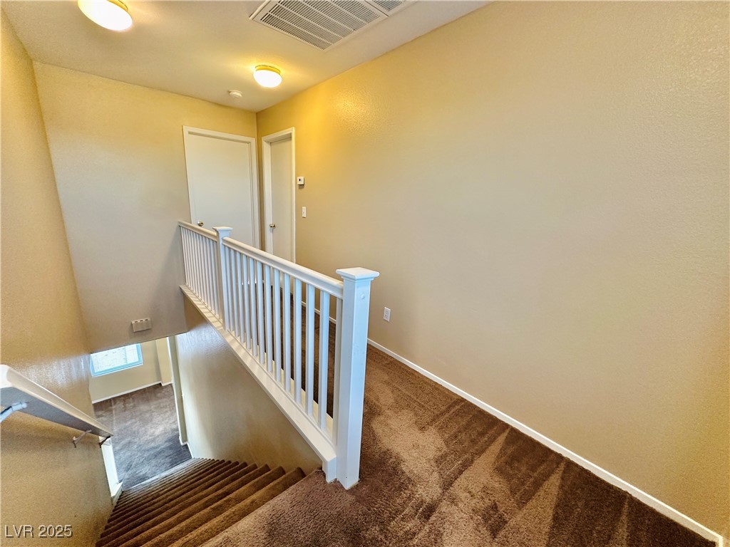 2637 Spider Cactus Court