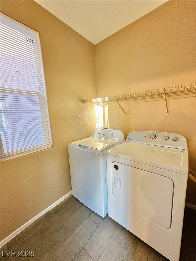 2637 Spider Cactus Court