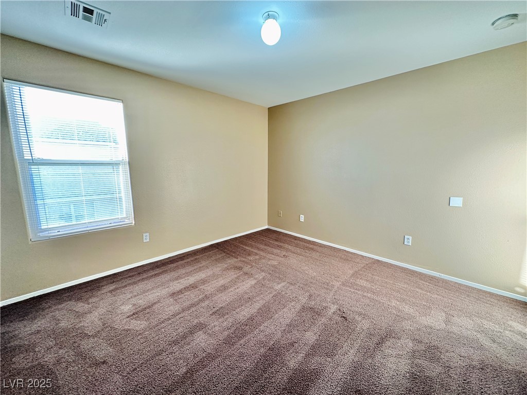 2637 Spider Cactus Court