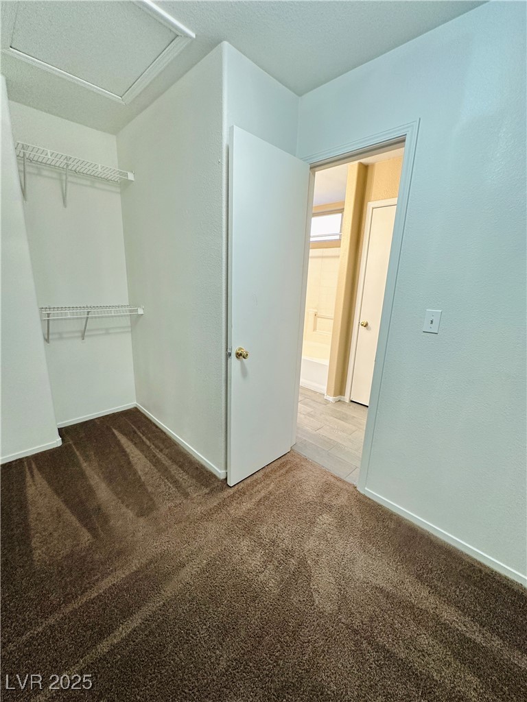 2637 Spider Cactus Court
