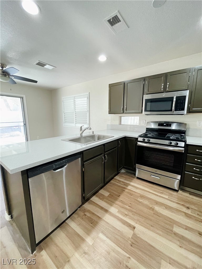 8221 Hydra Lane
