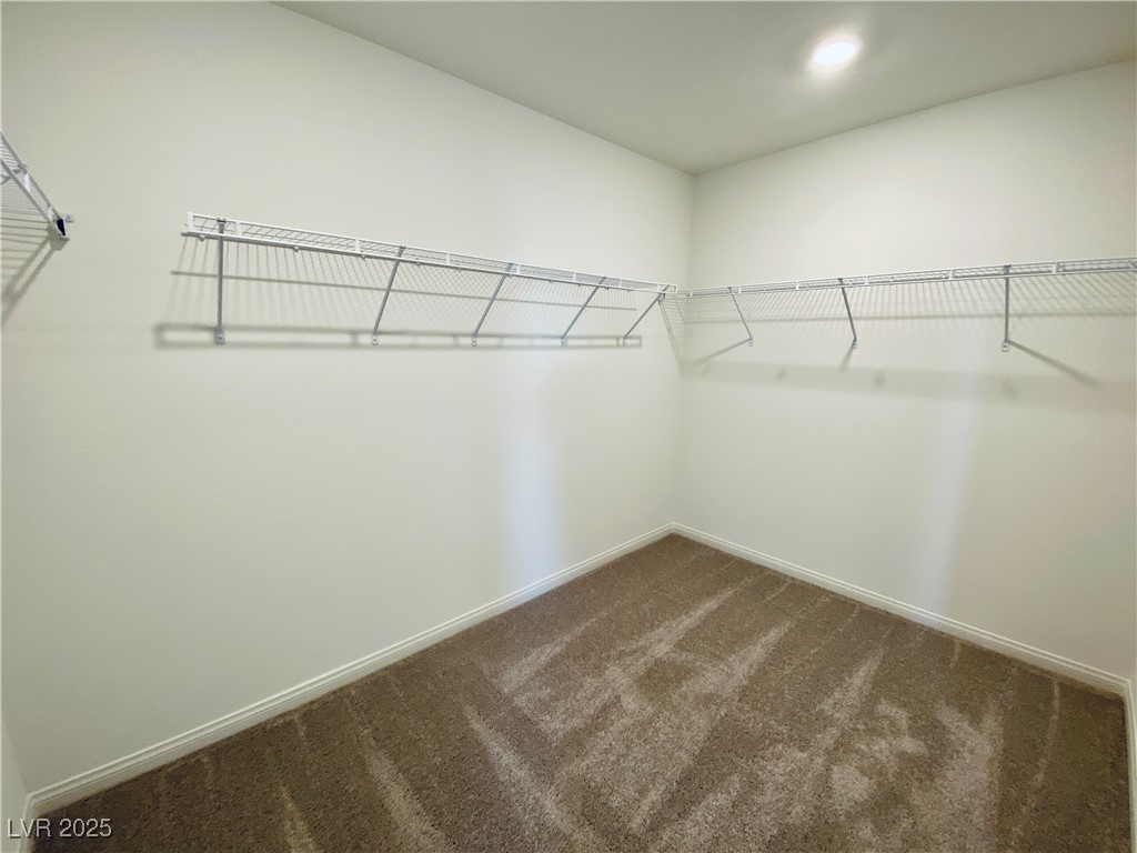 10176 Midnight Onyx Street