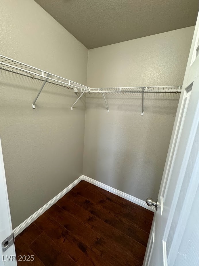 8133 Stonyford Court