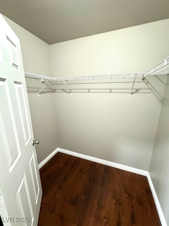 8133 Stonyford Court