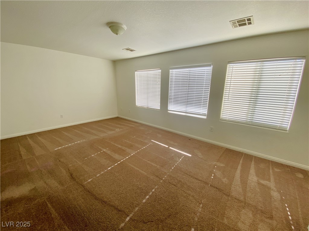 9365 ROPING COWBOY Avenue 0