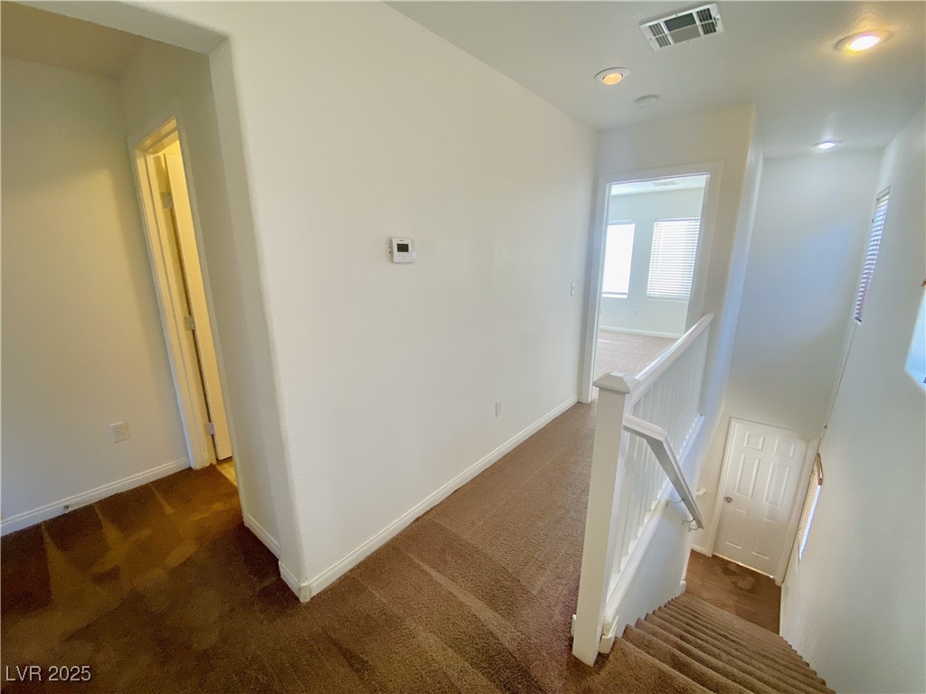 9365 ROPING COWBOY Avenue 0