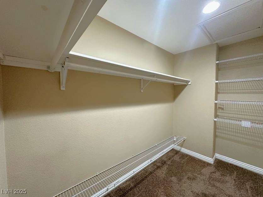 2513 Birds Nest Cactus Court