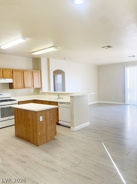 2624 Spider Cactus Court