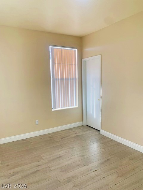 2624 Spider Cactus Court