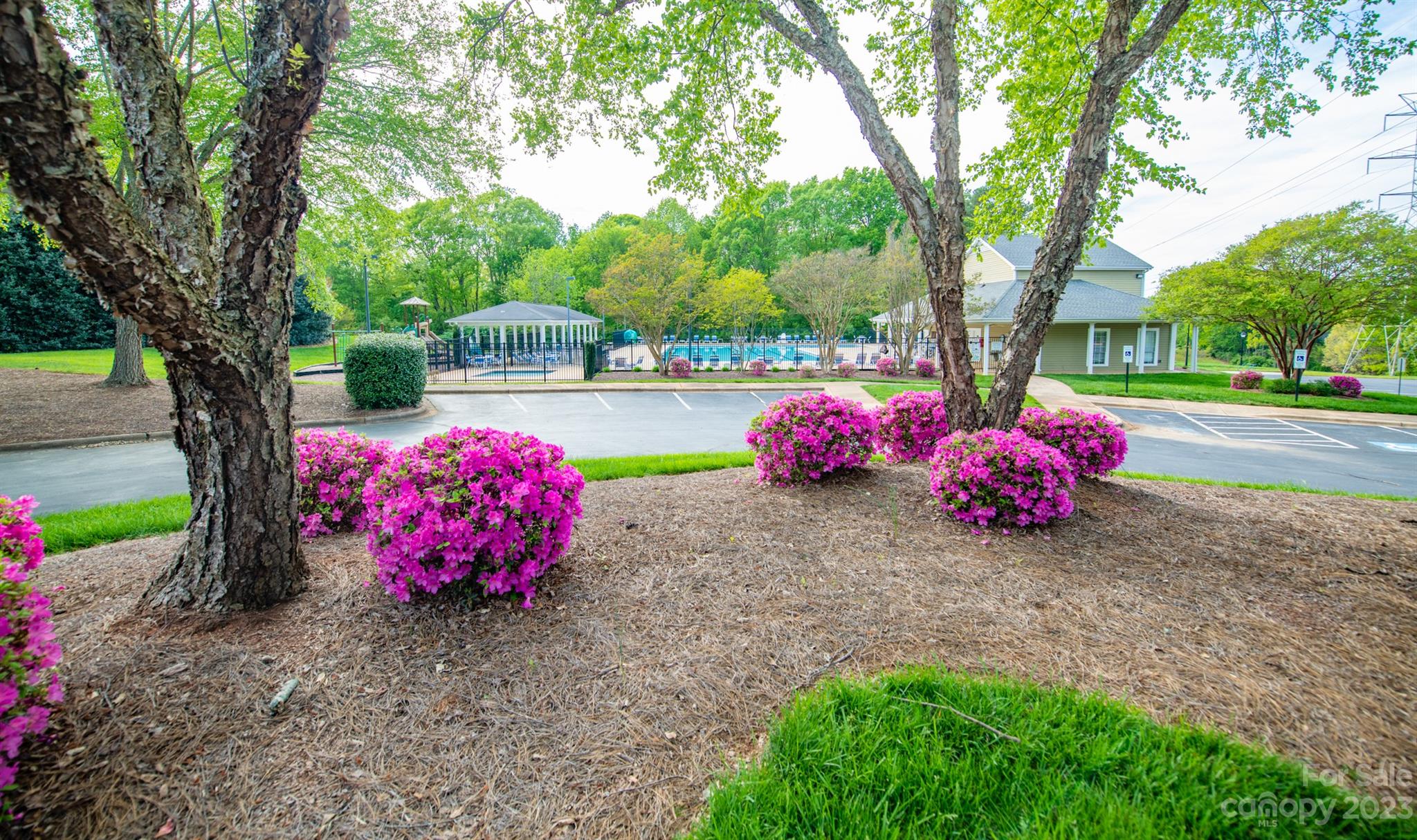 8504 Hope Springs Court