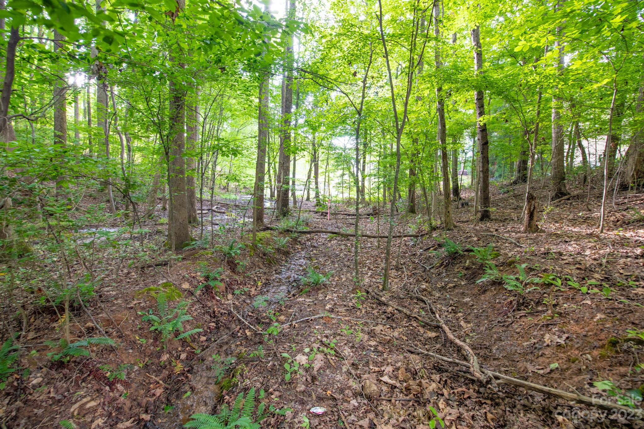 Lot 15 Juniper Lane Unit: Lot 15