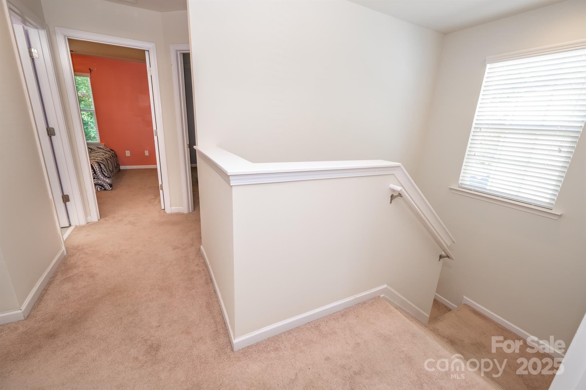 10666 Sapphire Trail