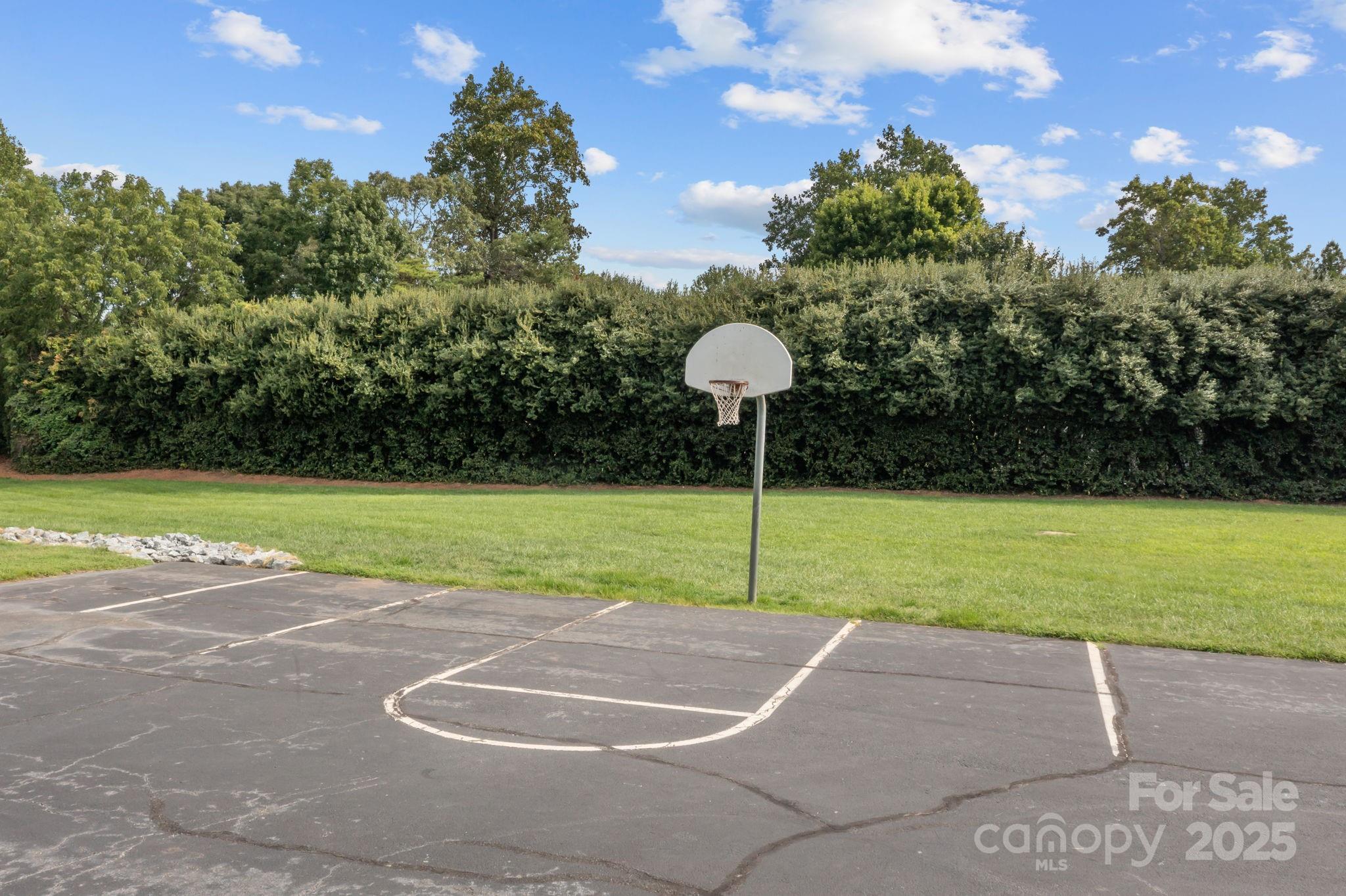 12914 Angel Oak Drive