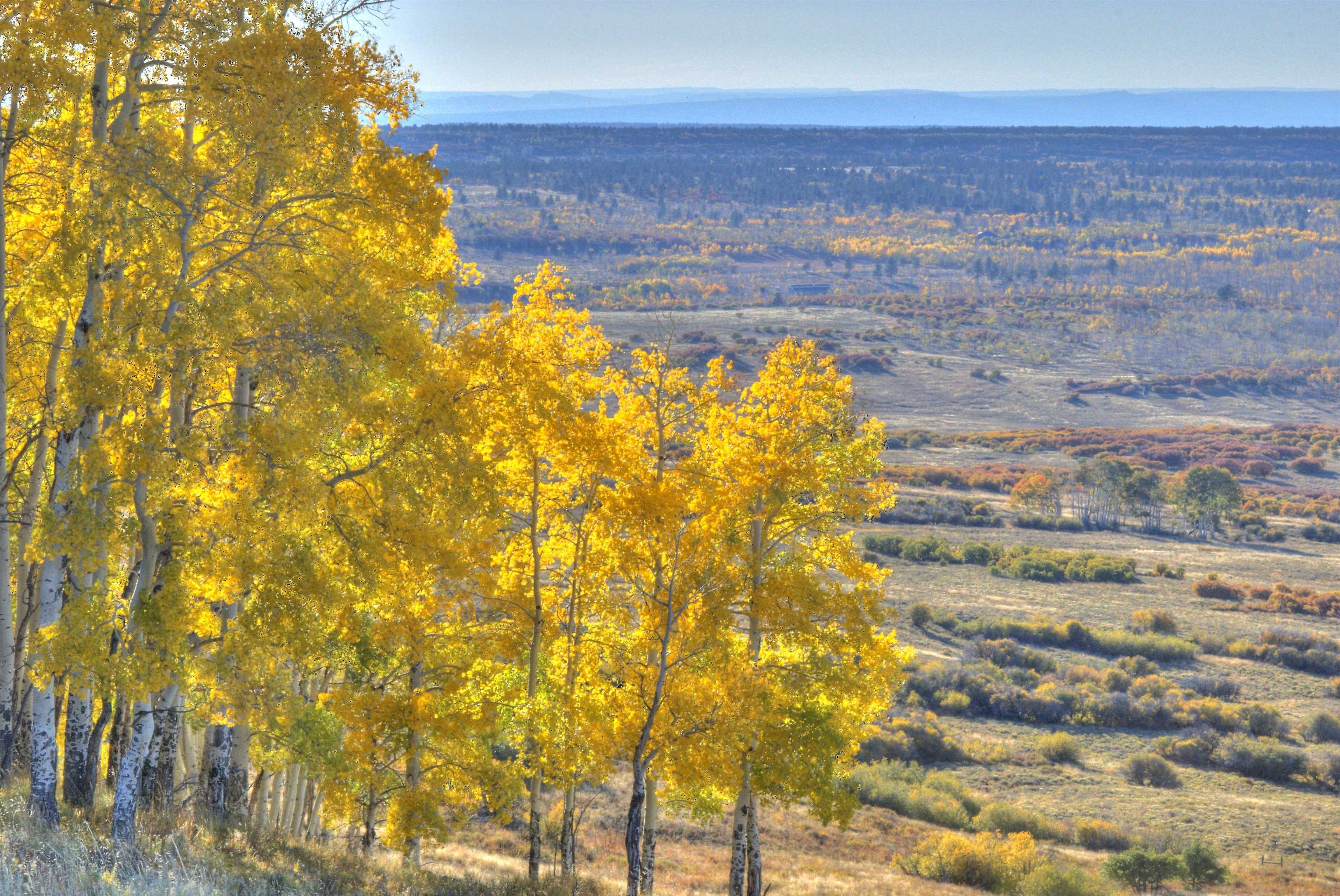 TBD Hull Ridge Road