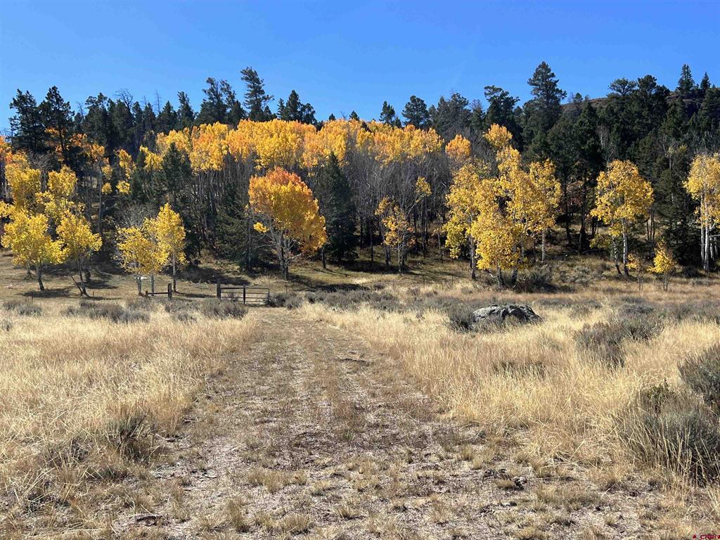 15493 County Road 25