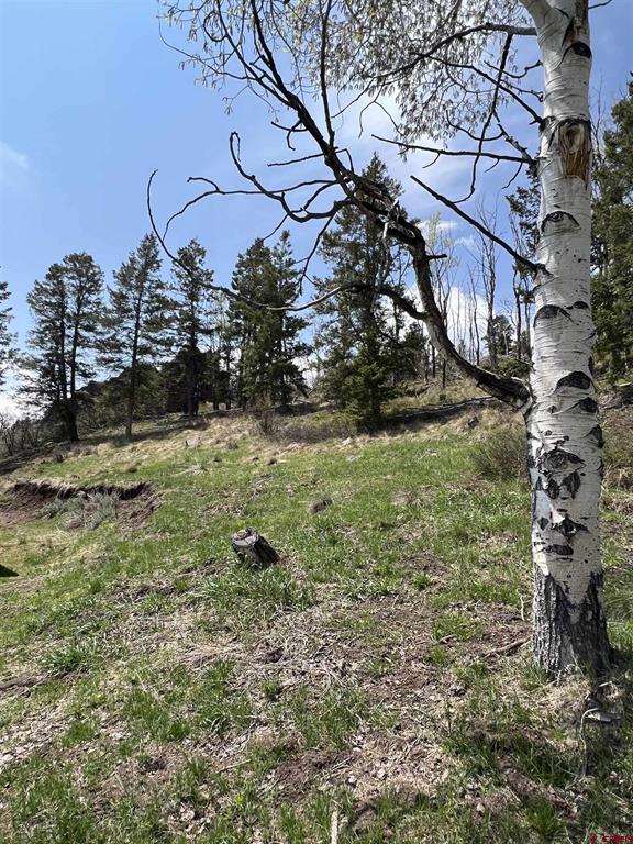 15493 County Road 25