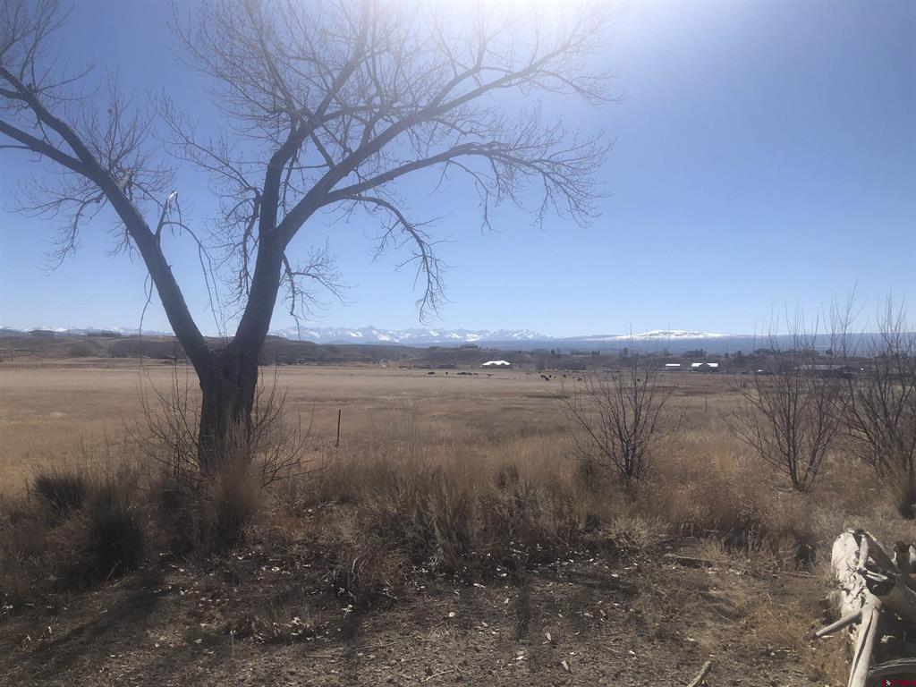 Tract A & 3 E Oak Grove Road