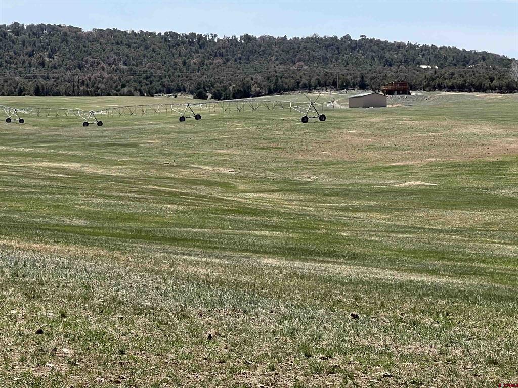 37569 Fruitland Mesa Road