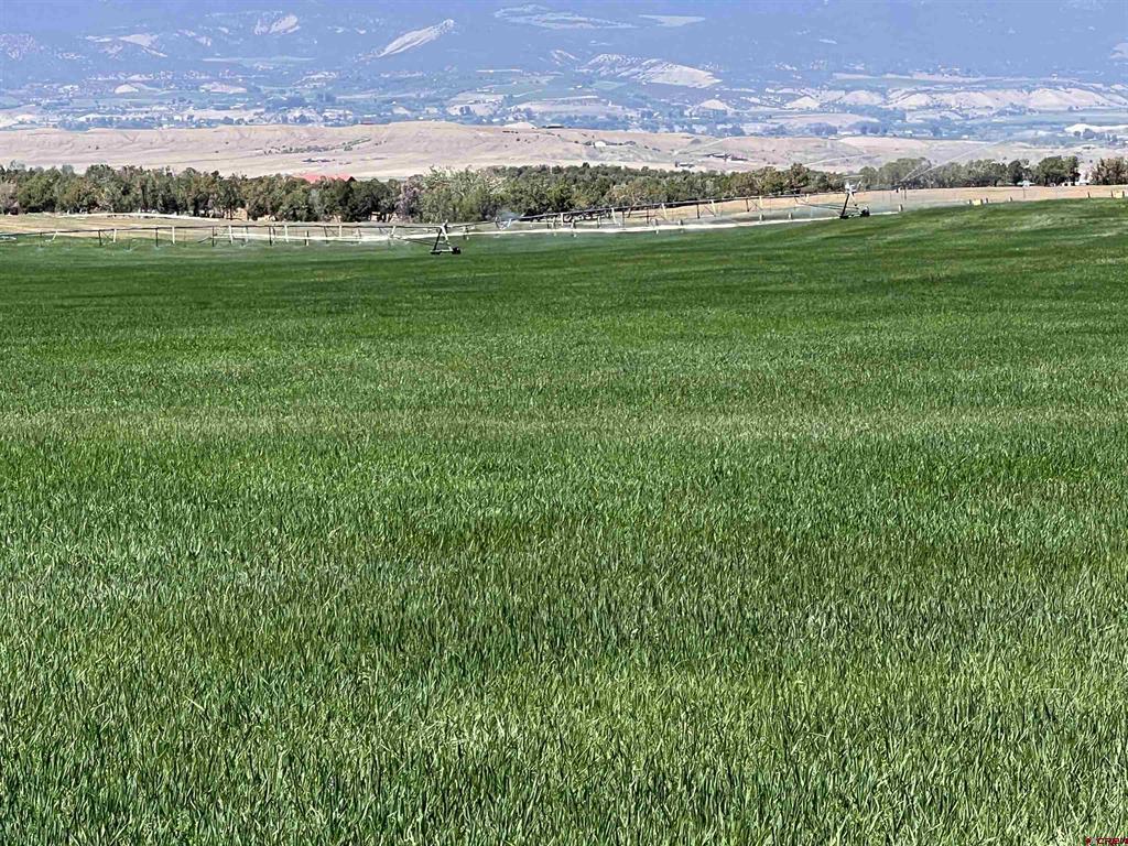 37569 Fruitland Mesa Road