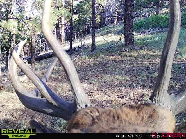 Tract 3 W Anderson Road