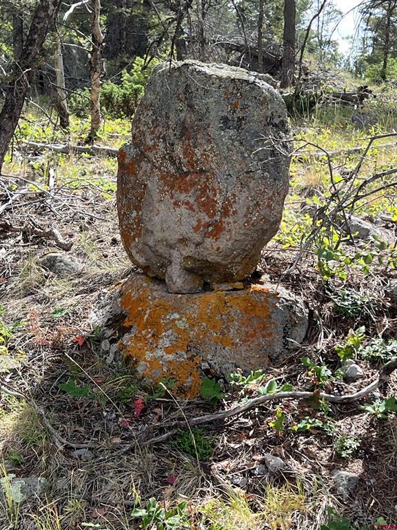 15493 & 15333 COUNTY ROAD 25 Road