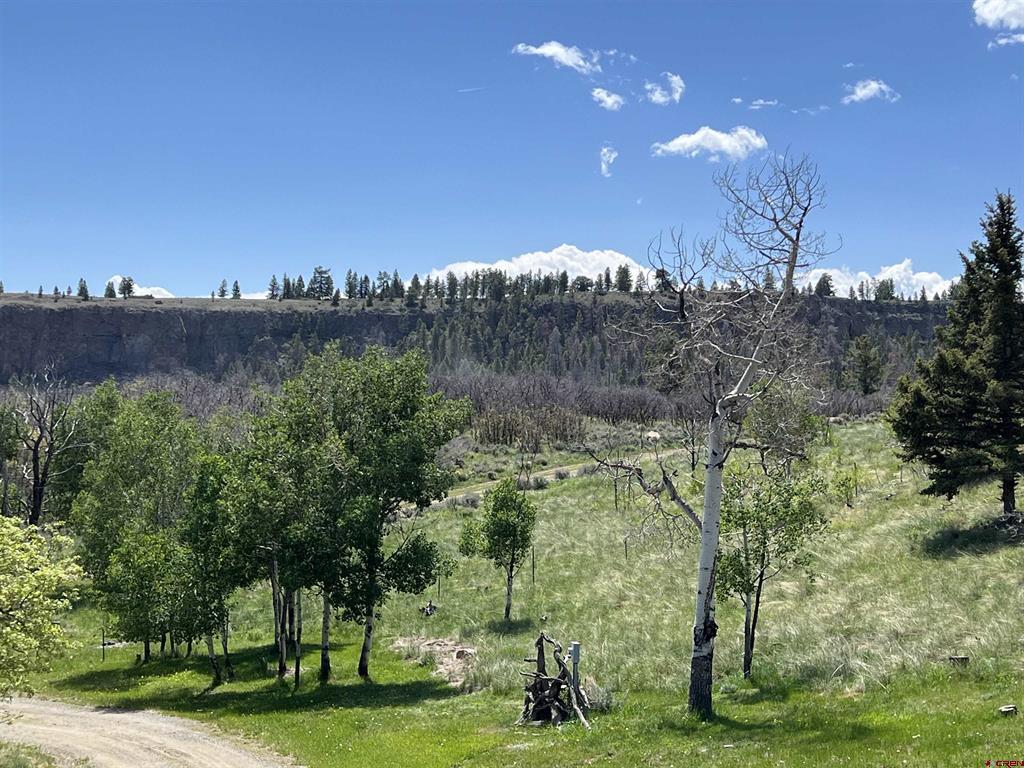 15493 & 15333 COUNTY ROAD 25 Road