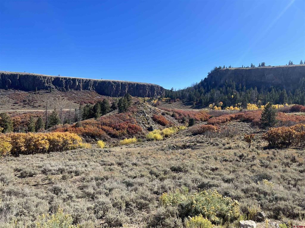 15493 & 15333 COUNTY ROAD 25 Road