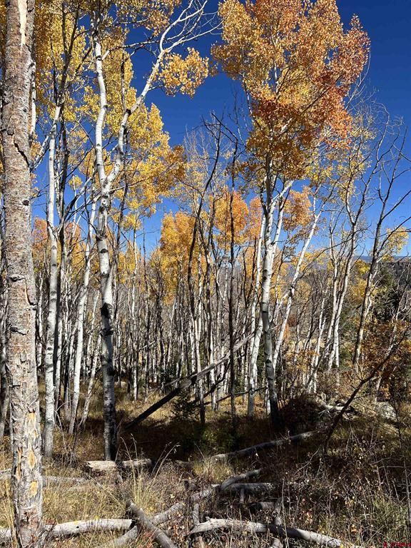 15493 & 15333 COUNTY ROAD 25 Road