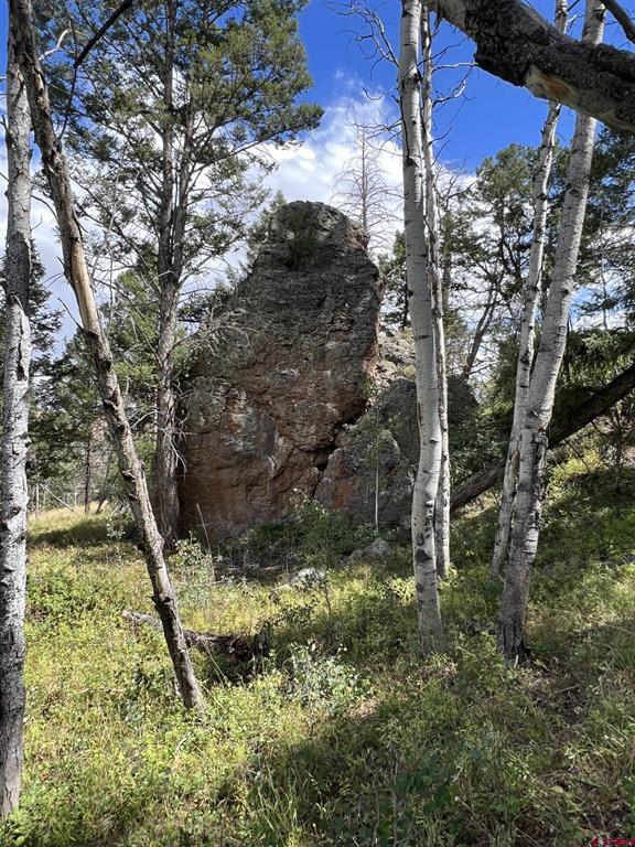 15493 & 15333 COUNTY ROAD 25 Road