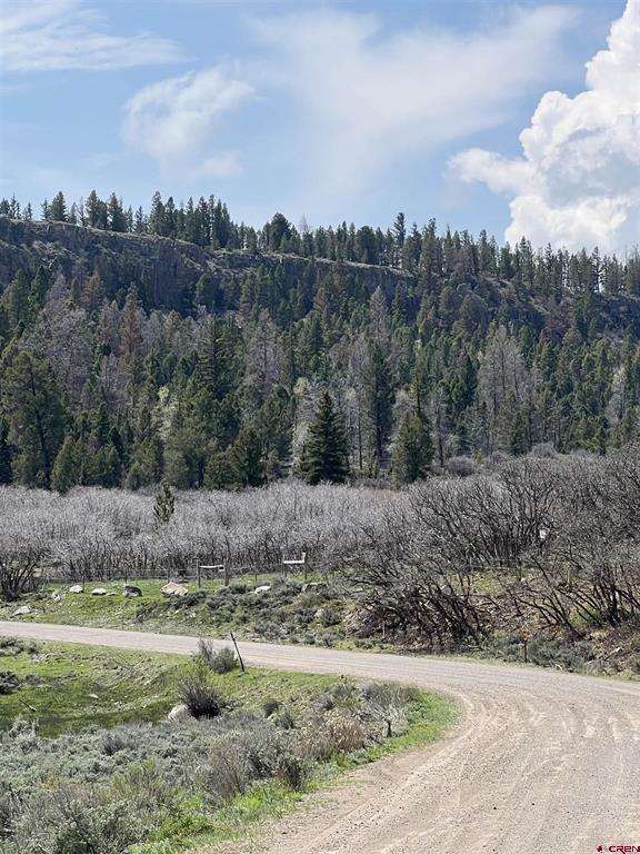 15493 & 15333 COUNTY ROAD 25 Road