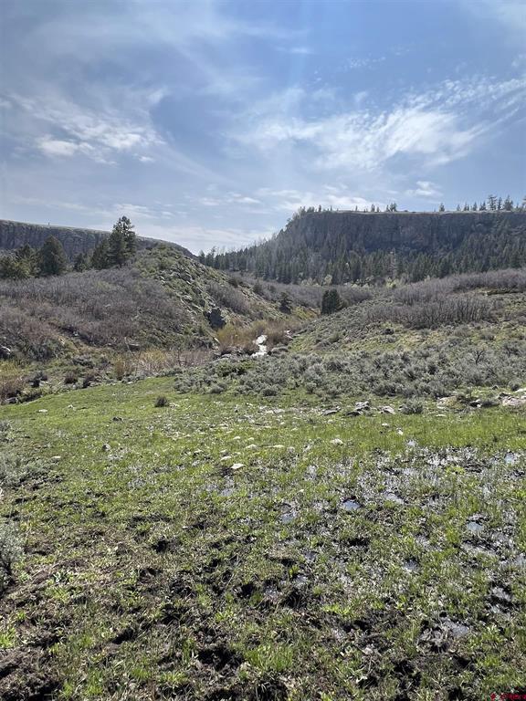 15493 & 15333 COUNTY ROAD 25 Road