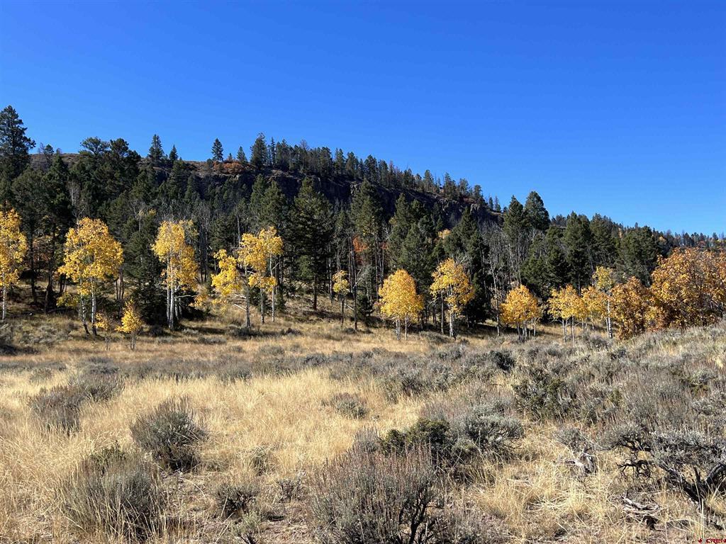 15493 & 15333 COUNTY ROAD 25 Road