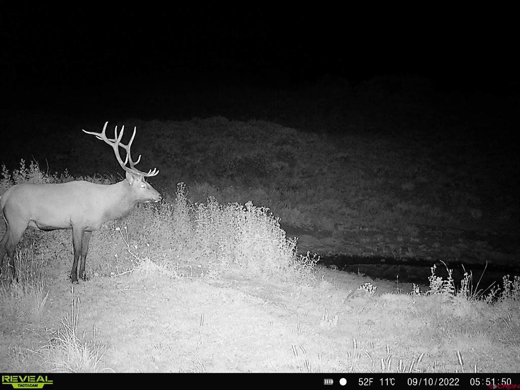 12665 Hwy 62 Highway