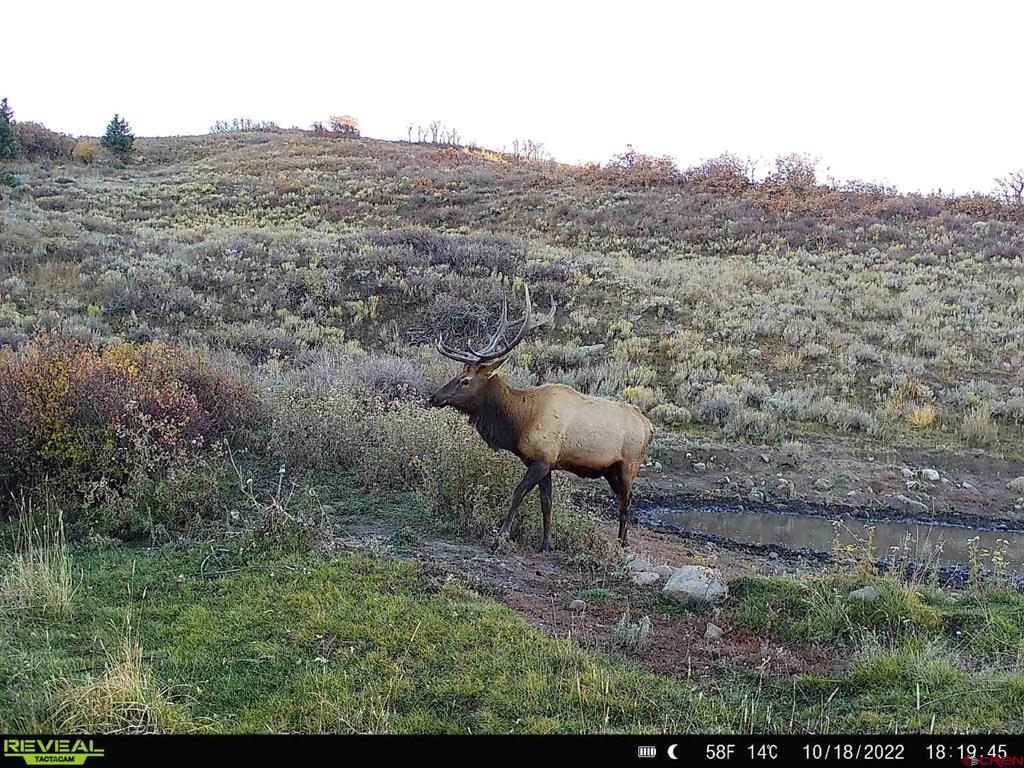 12665 Hwy 62 Highway