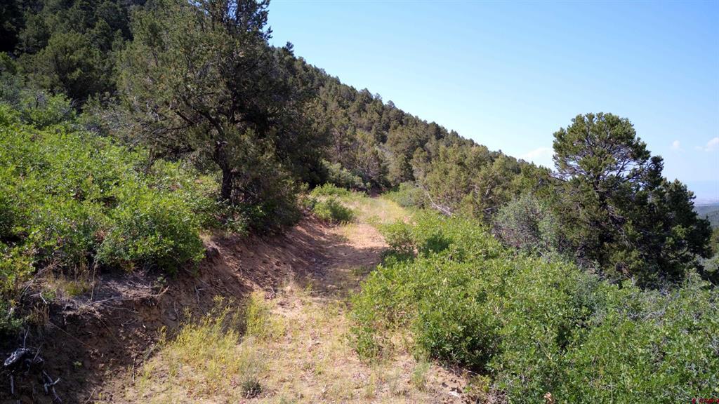 TBD Ward Creek Road