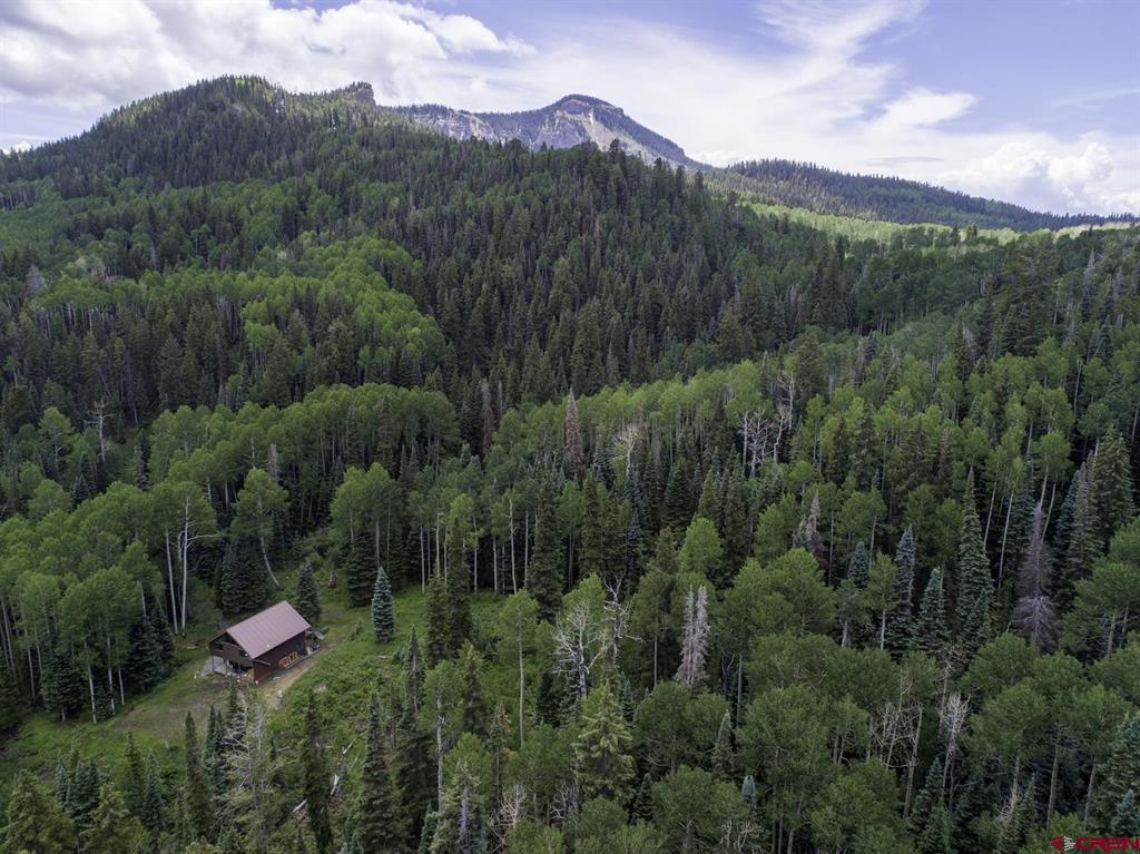 774098 Buckhorn Road