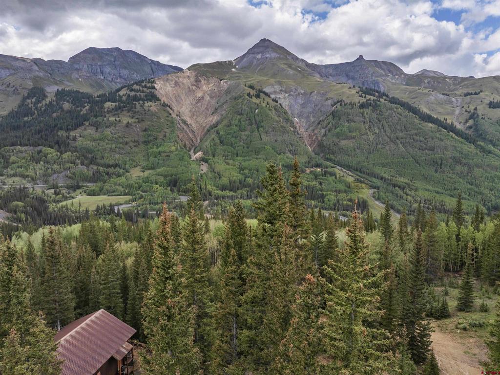 165 Guston Trail