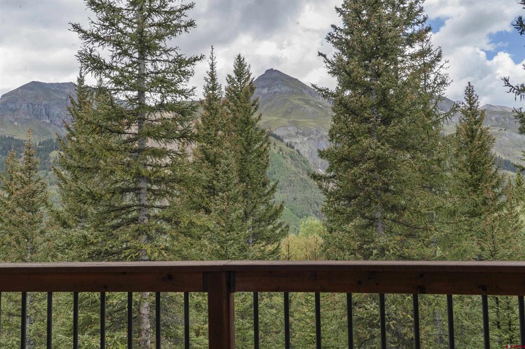 165 Guston Trail