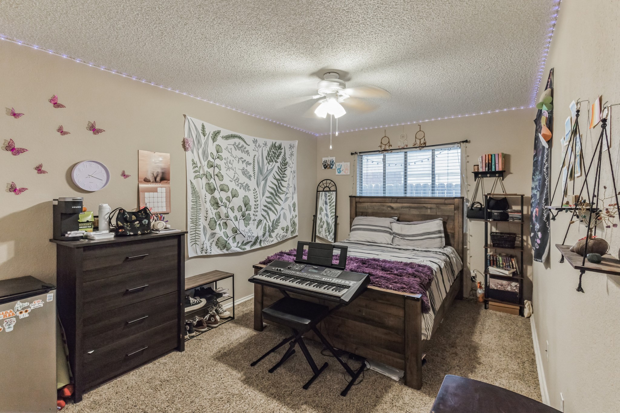 8729 Sabinas Trail