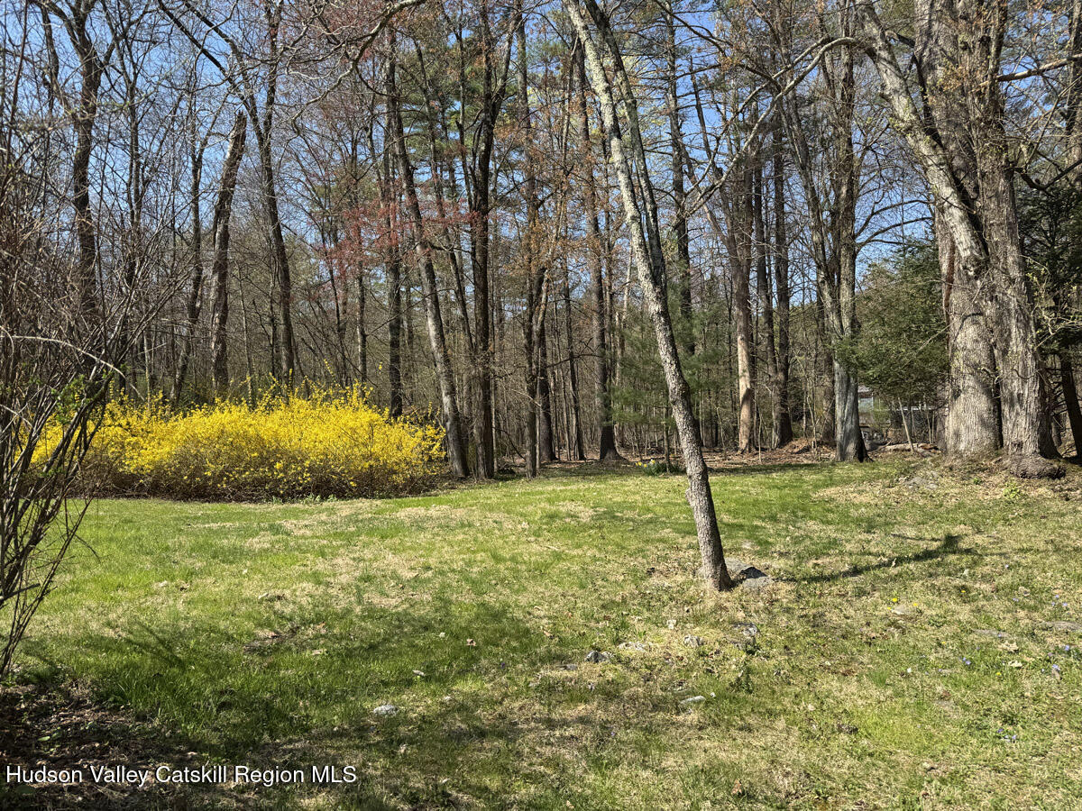 176 W Hurley Road