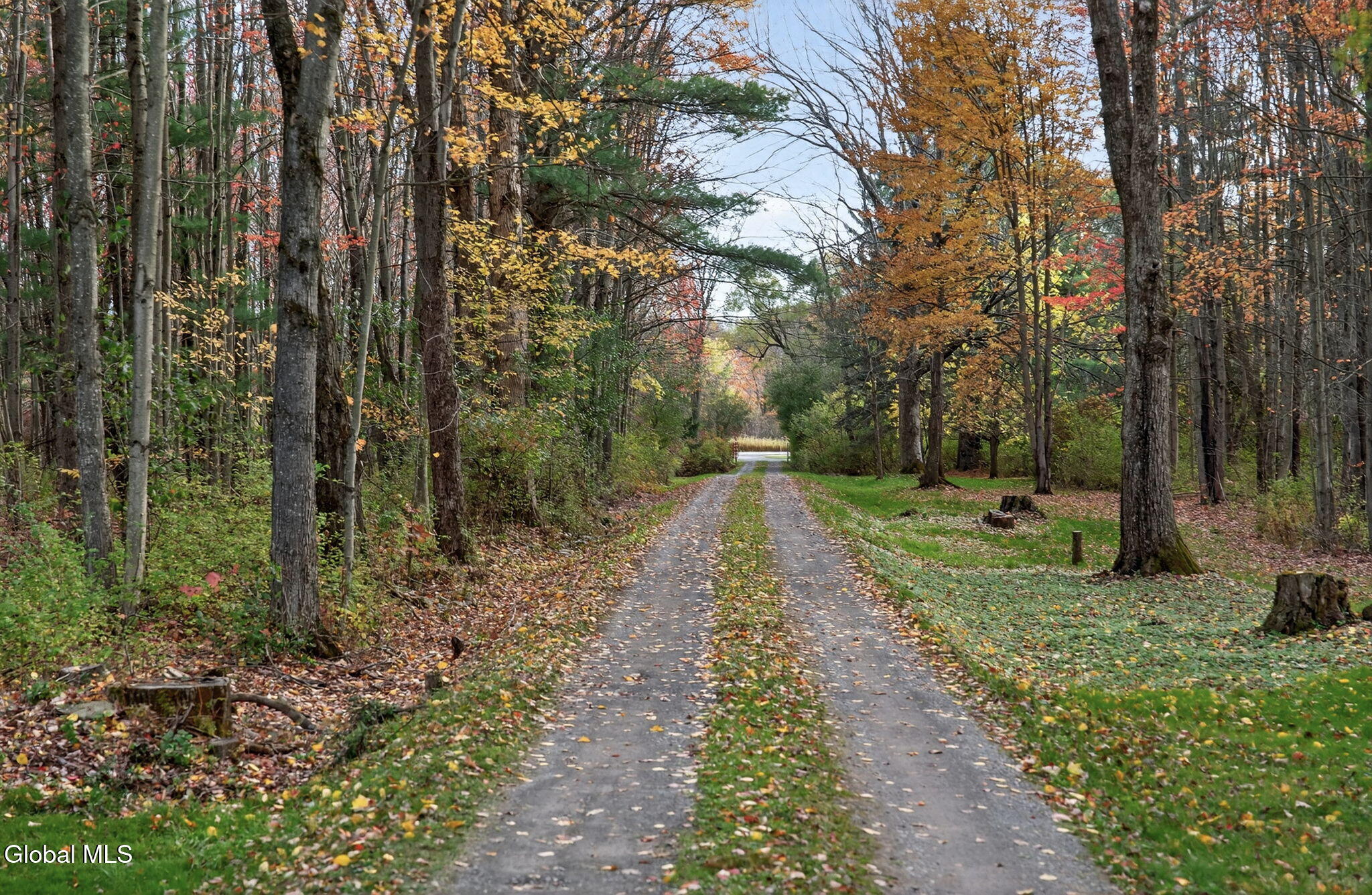 13388 Duanesburg Road, Delanson